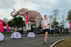 BIB: 
                            <button type="button" onclick="openModal(26528920)" class="btn btn-primary btn-sm float-right btn-popup" data-toggle="modal" data-target=".modal-high-quality">
                        <i class="fas fa-shopping-cart"></i> Add to Cart
                    </button>
                                            <button type="button" onclick="isThisMe(26528920, true)" class="btn btn-success btn-sm float-right btn-popup btn-isme hidden" data-toggle="tooltip" data-placement="bottom" title="นี่คือรูปของคุณใช่ไหม คลิกที่นี่เพื่อเอาเข้าอัลบั้ม">
                        <i class="fas fa-plus"></i> Add to album
                    </button>
                    <button type="button" onclick="isThisMe(26528920, false)" class="btn btn-warning btn-sm float-right btn-popup btn-isnotme hidden">
                        <i class="fas fa-ban"></i> Remove from album
                    </button>